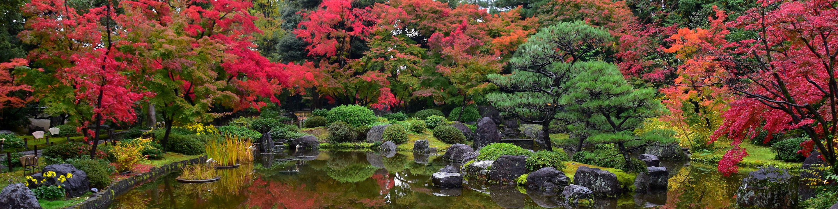 Autumn leaves at Jonangu Shrine