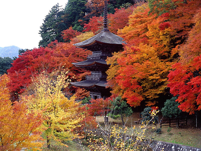 金剛院