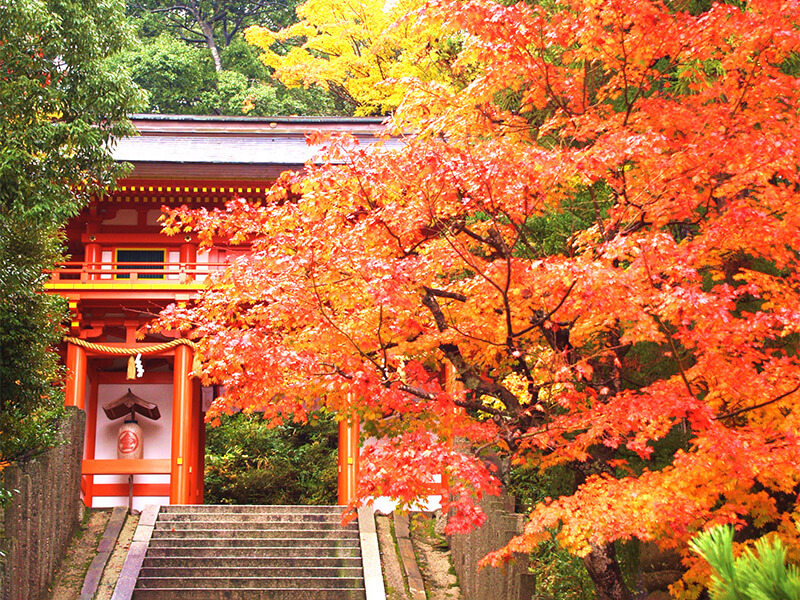 Kotohira-jinja Shrine