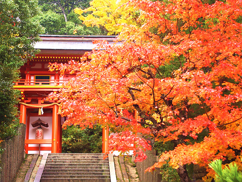 金刀比罗神社