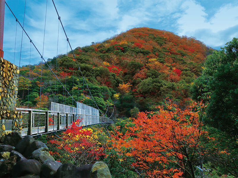 二瀨川溪流一帶