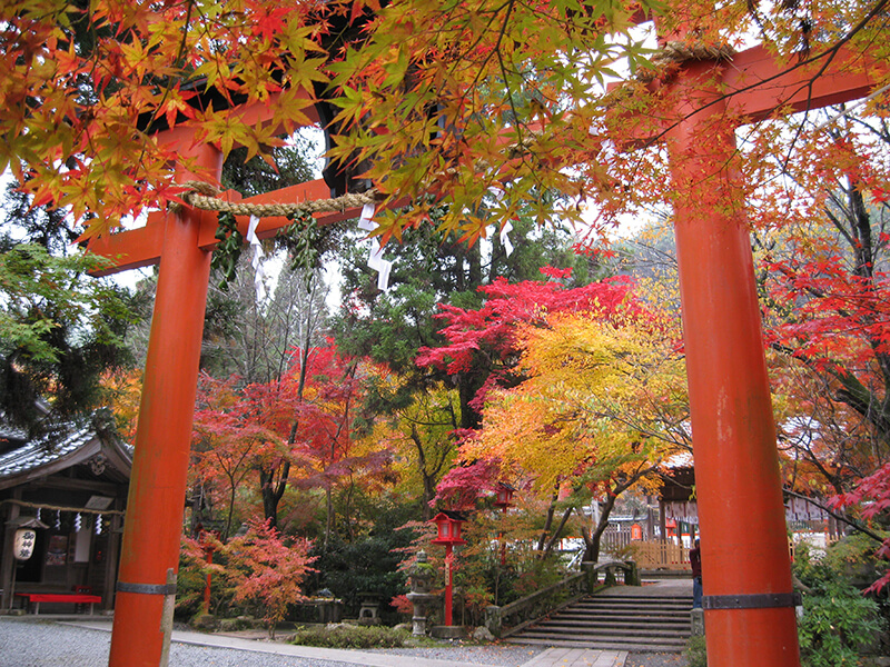 Kuwayama-jinja Shrine
