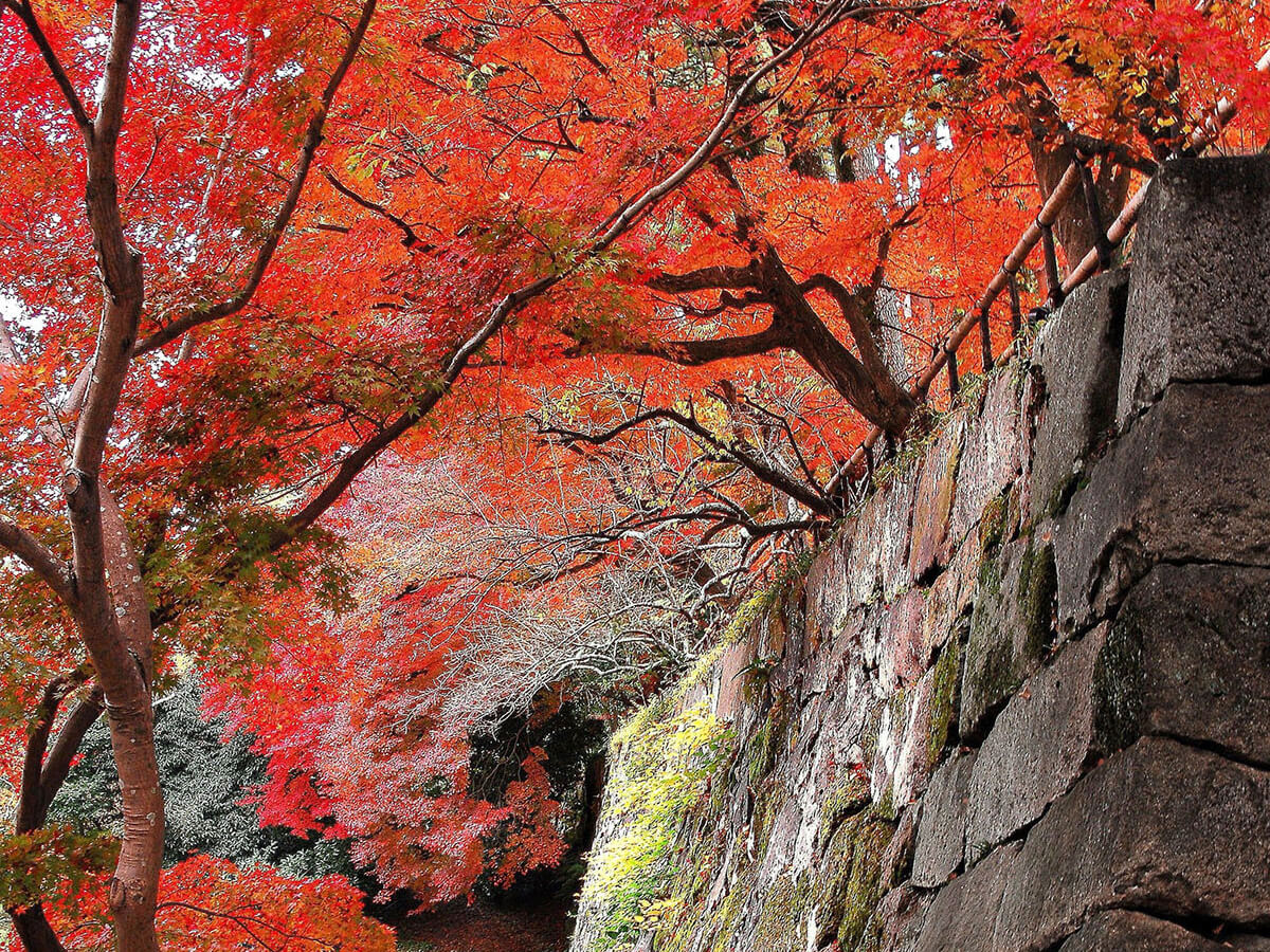 大本本部（丹波龟山城遗址）