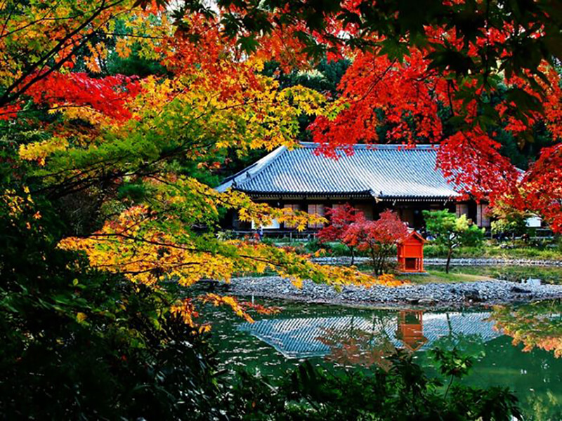 Joruri-ji Temple