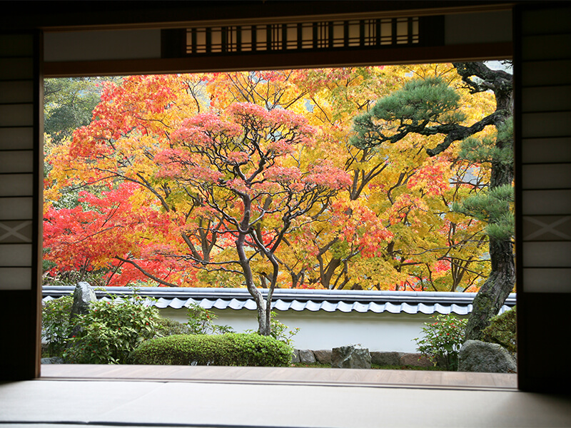 Kaijusen-ji Temple