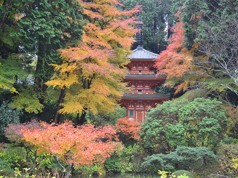 Gansen-ji Temple