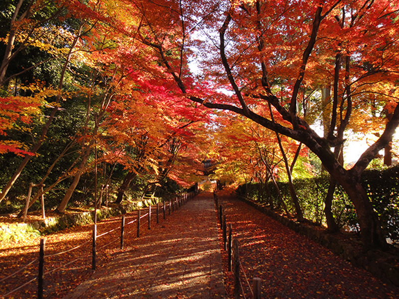 Komyo-ji Temple