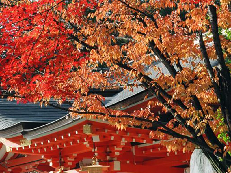 Nagaoka Tenmangu Shrine