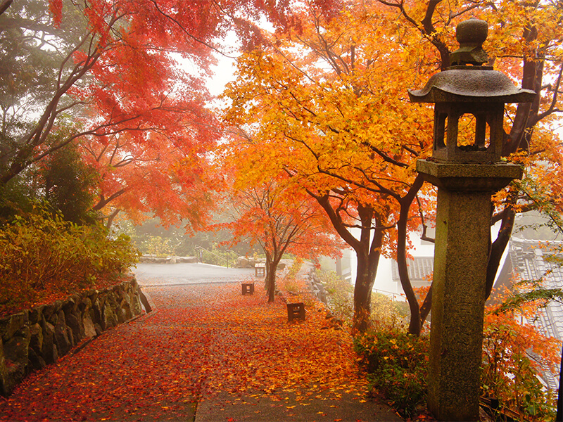 Yanagidani Kannon (Yokoku-ji Temple)