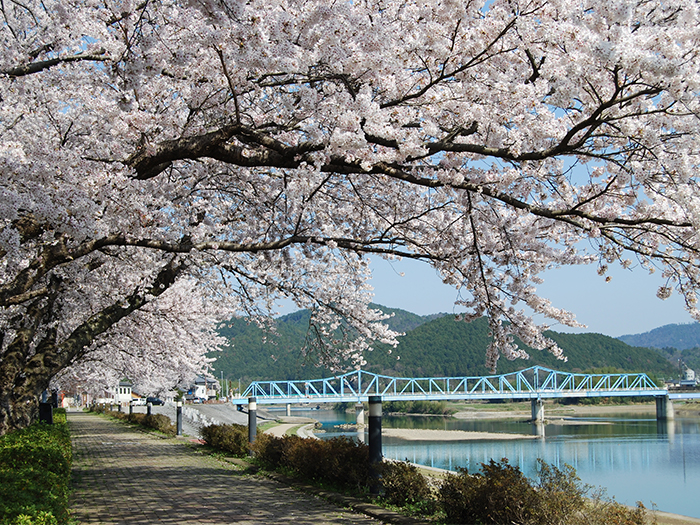 大堰川堤防