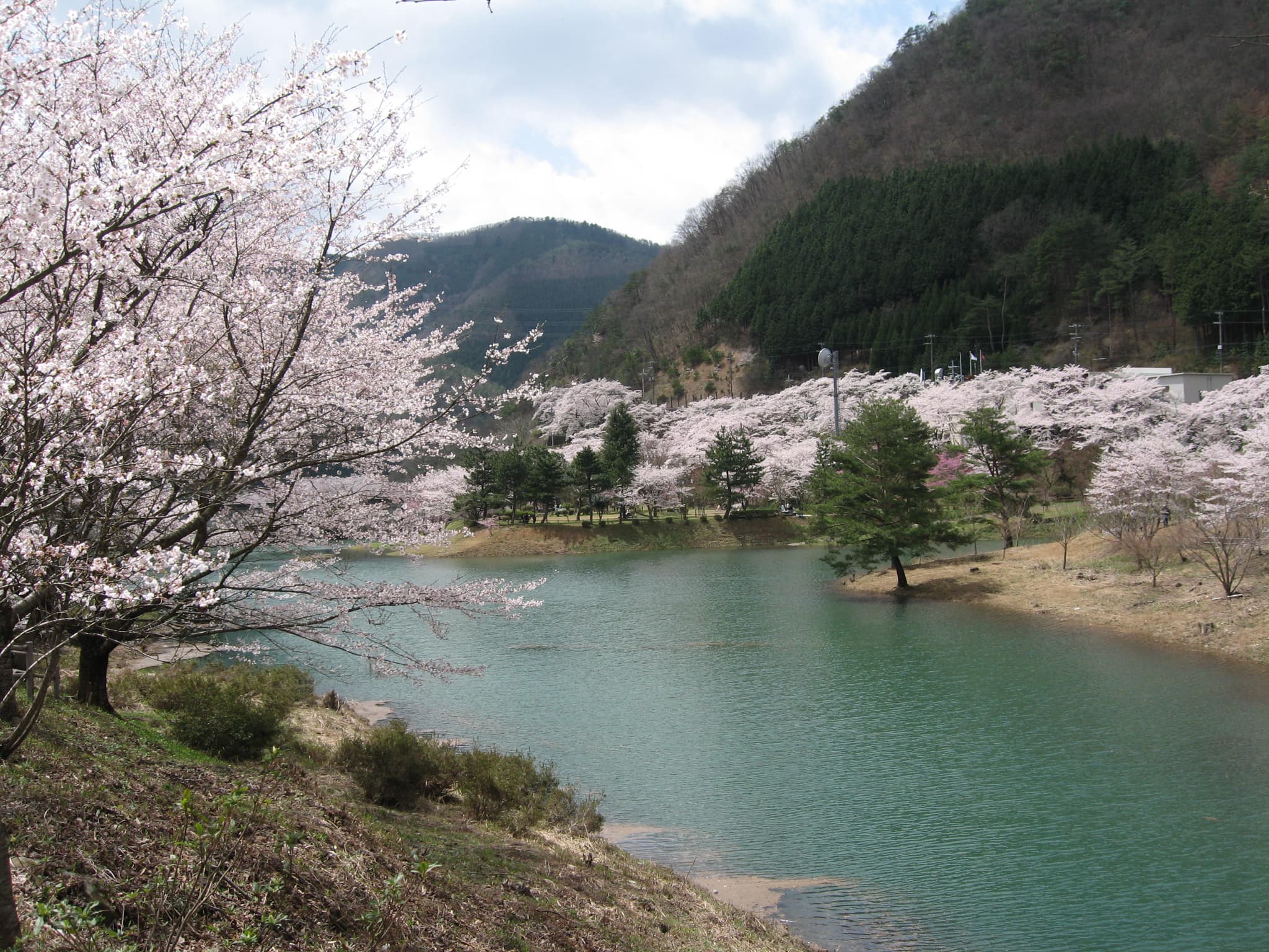 Ohno Dam Park