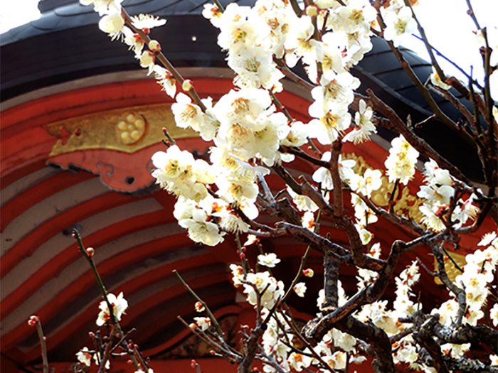 Nagaoka Tenmangu Shrine