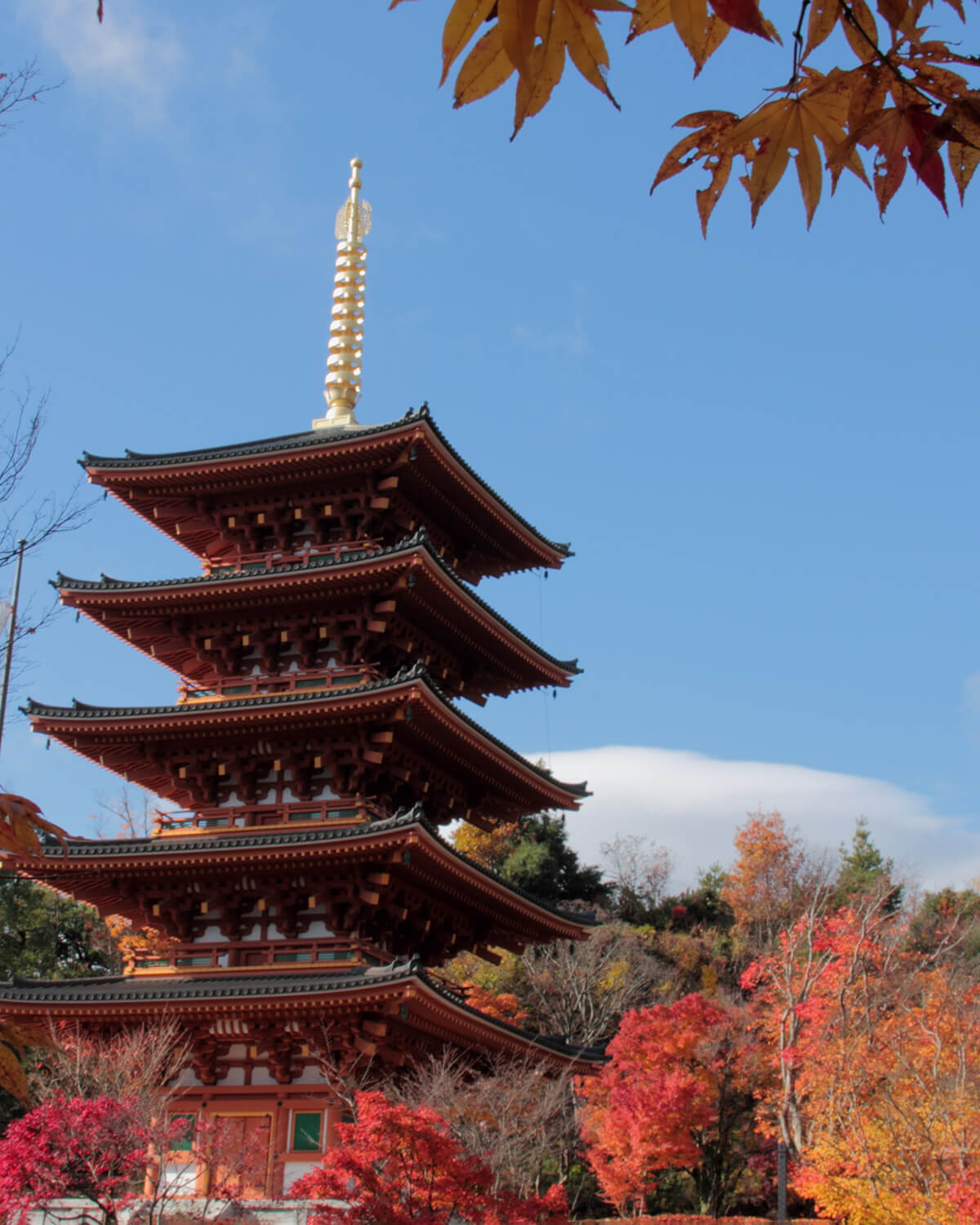 Autumn leaves at Narai-ji Temple