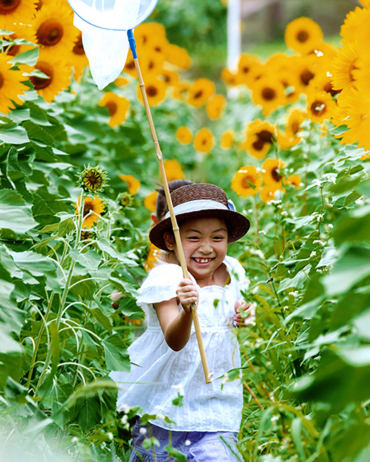 A girl runs through sunflowers at the Yosano Town Sunflower Festival