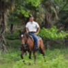 Horseback riding in Woodland Kyoto