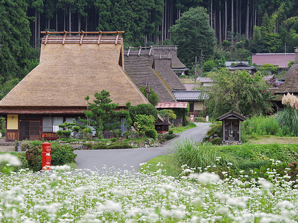 美山茅葺之里