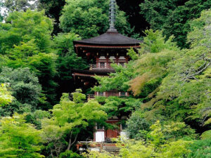 Joruri-ji Temple