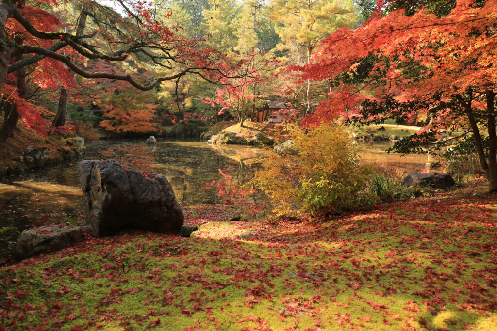 Omoto Headquarters (Ayabe/Baishoen) | Sightseeing Spots | Another Kyoto ...