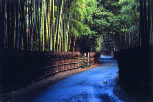 Take-no-Michi (The Bamboo Path)