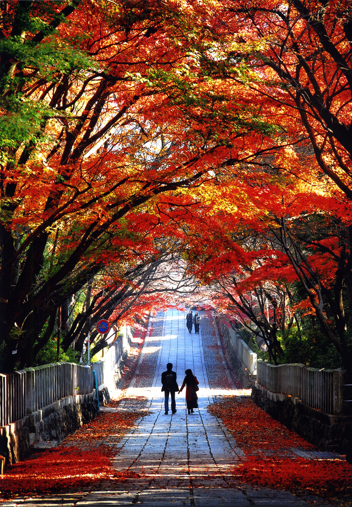 Mukojinja Shrine | Sightseeing Spots | Another Kyoto Official Travel Guide