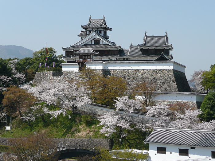 Enjoy a family day filled with nature and Japanese culture!