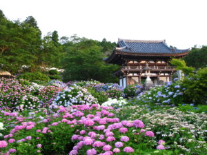Tanshu Kannon-ji Temple