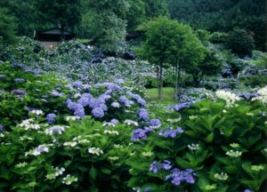 Maizuru Nature and Cultural Park