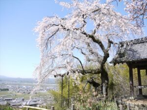 Jizozen-in Temple