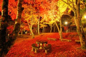 笠置山・笠置山紅葉公園