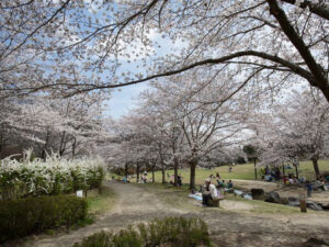 京阪奈紀念公園