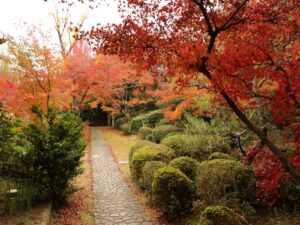 Zenporitsu-ji Temple (Maple Temple)