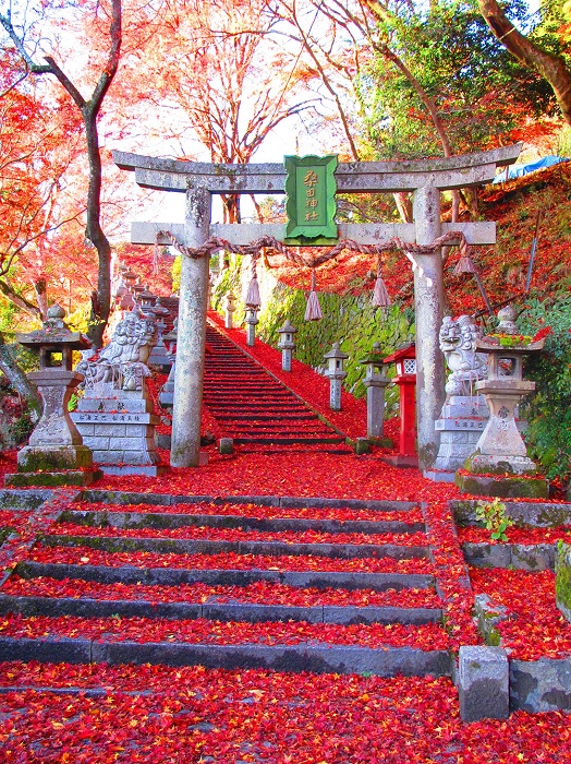 Seek out some of the best autumn foliage in the temples of Kyoto Prefecture