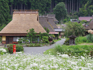 Miyama’s thatched village