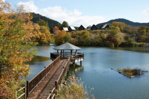 大正池綠色公園