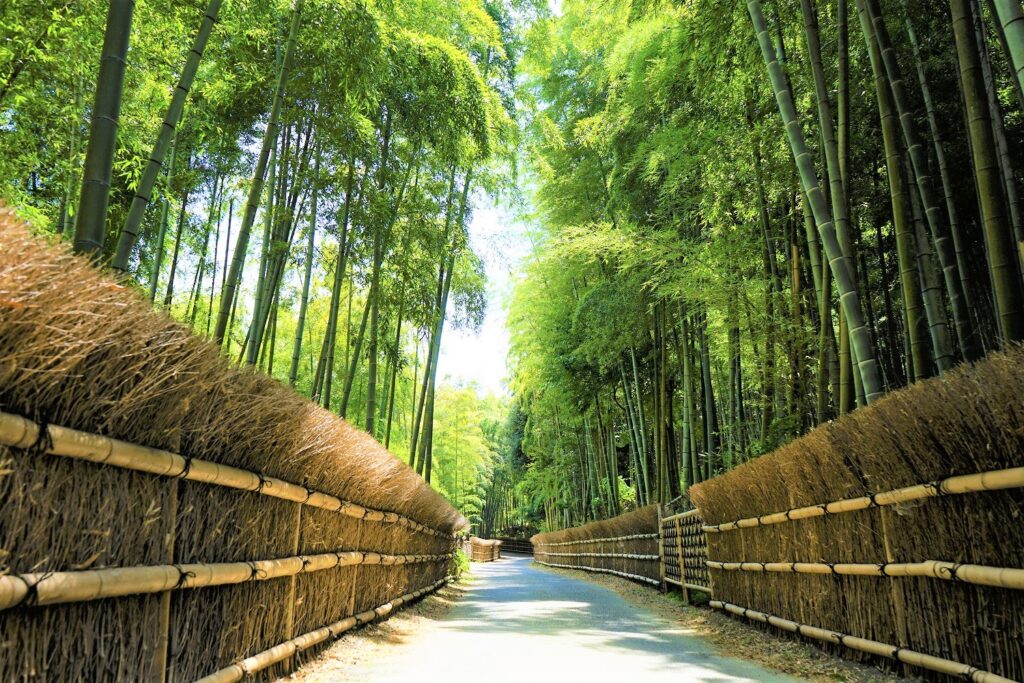 歷史名勝滿載的竹之里 京都 乙訓地區絕對要去的10個景點 深度推薦 Another Kyoto