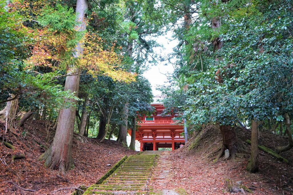 传统工艺与绝景的宝库！“森之京都”的10个精选景点