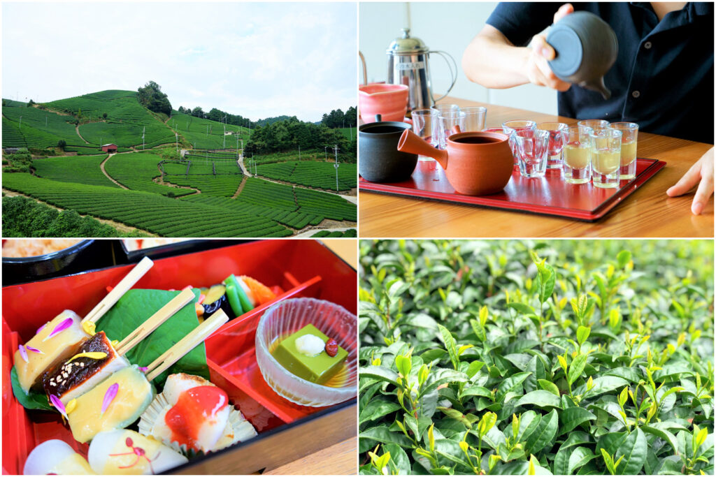 Tea fields, tea tasting set, and Japanese sweets collage.