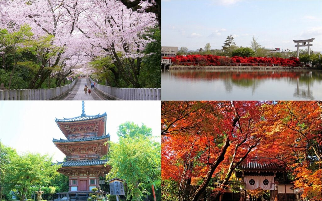 A collage of flowers and autumn leaves in Muko City and Nagaokakyo City