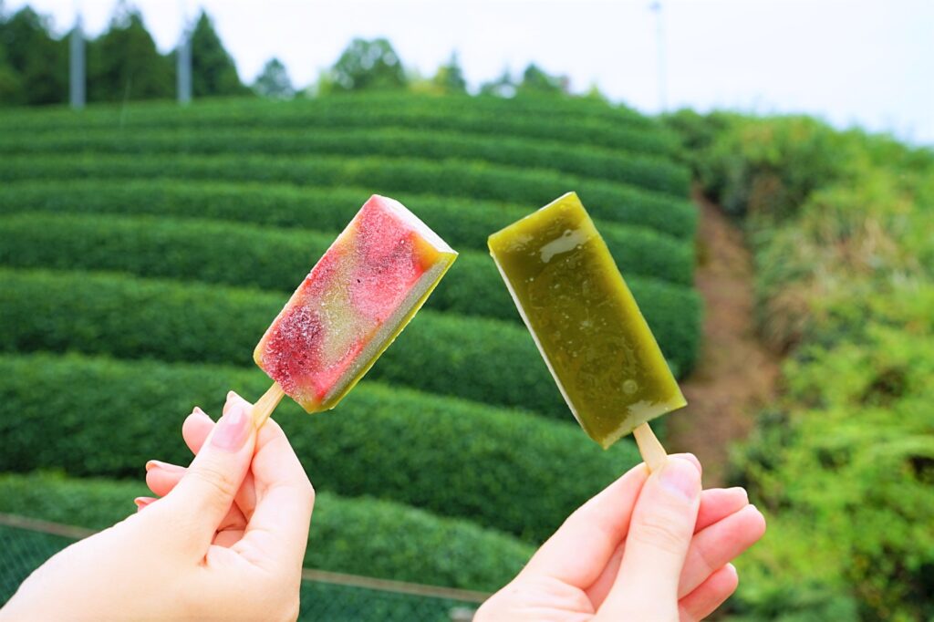 A Day Trip to Wazuka! Kyoto’s Tea Fields, Matcha Art, and Green Tea