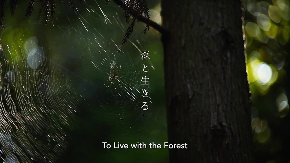 To Live with the Forest