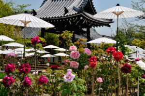 Otokuni-dera Temple