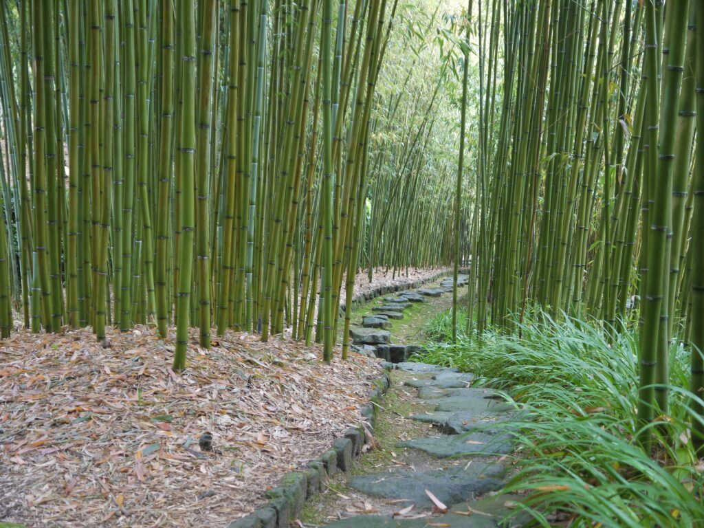 竹子資料館 京都市洛西竹林公園 旅遊景點 Another Kyoto
