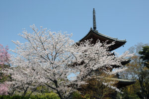 Hoshakuji Temple