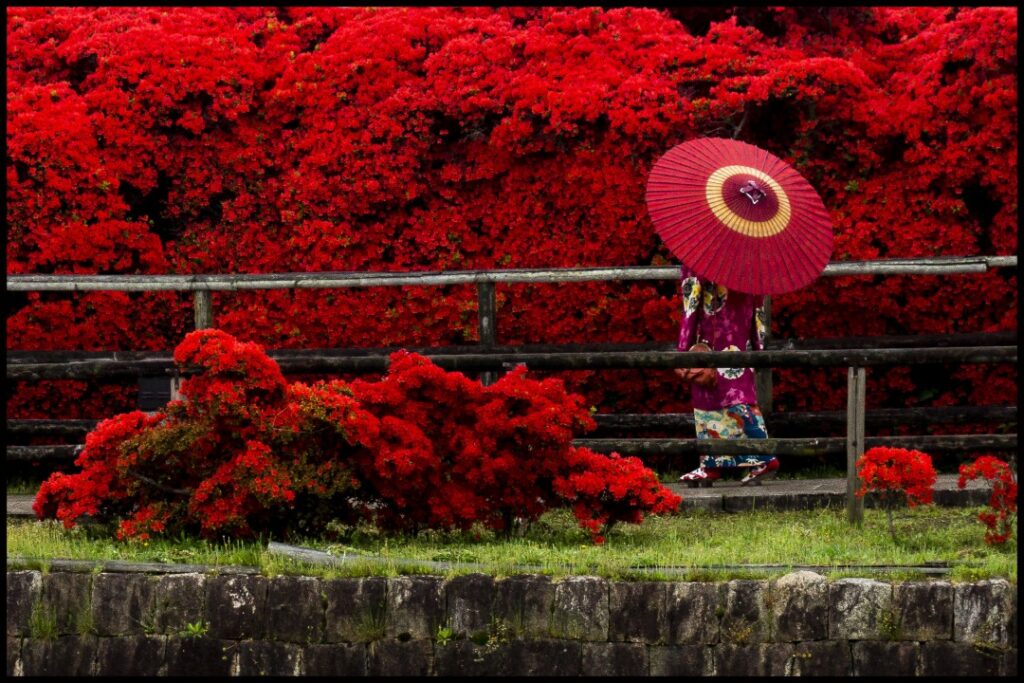 寺廟神社與被遺忘的自然美景――竹之里・乙訓熱門拍照景點6選