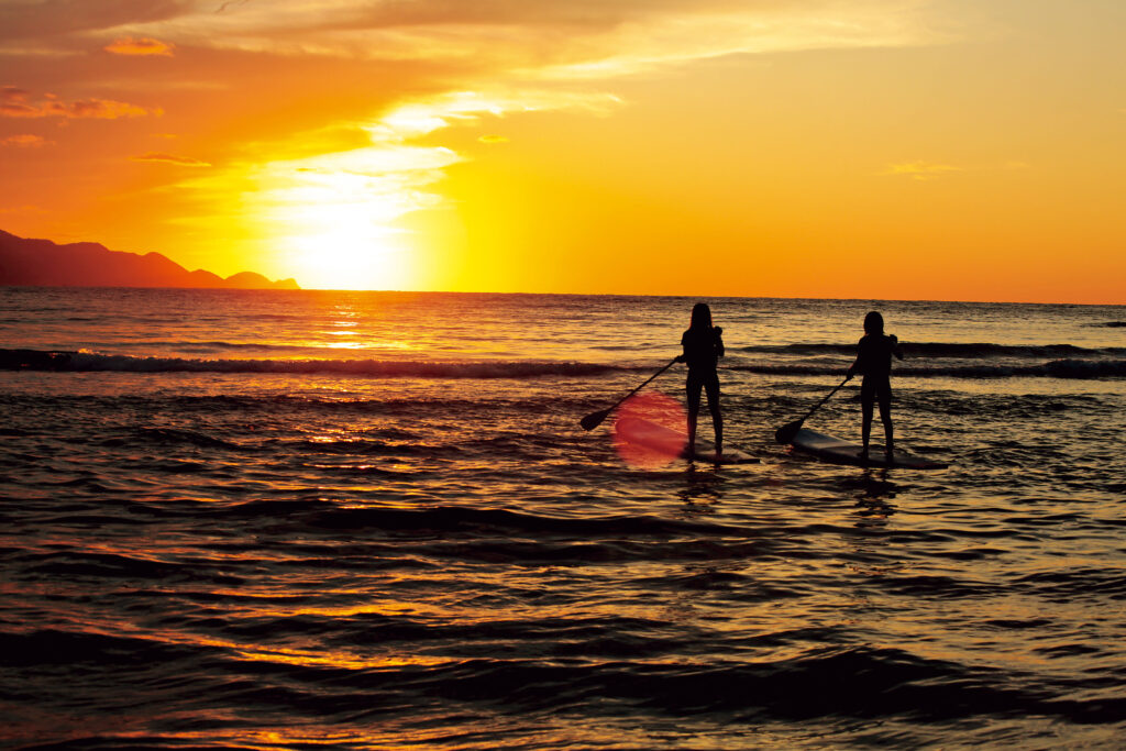 People paddleboarding at sunset