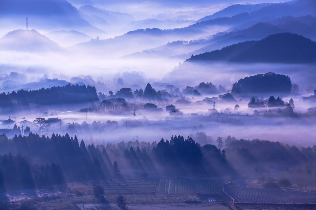 Five Great Spots in Kyoto Prefecture to Enjoy the “Sea of Clouds”