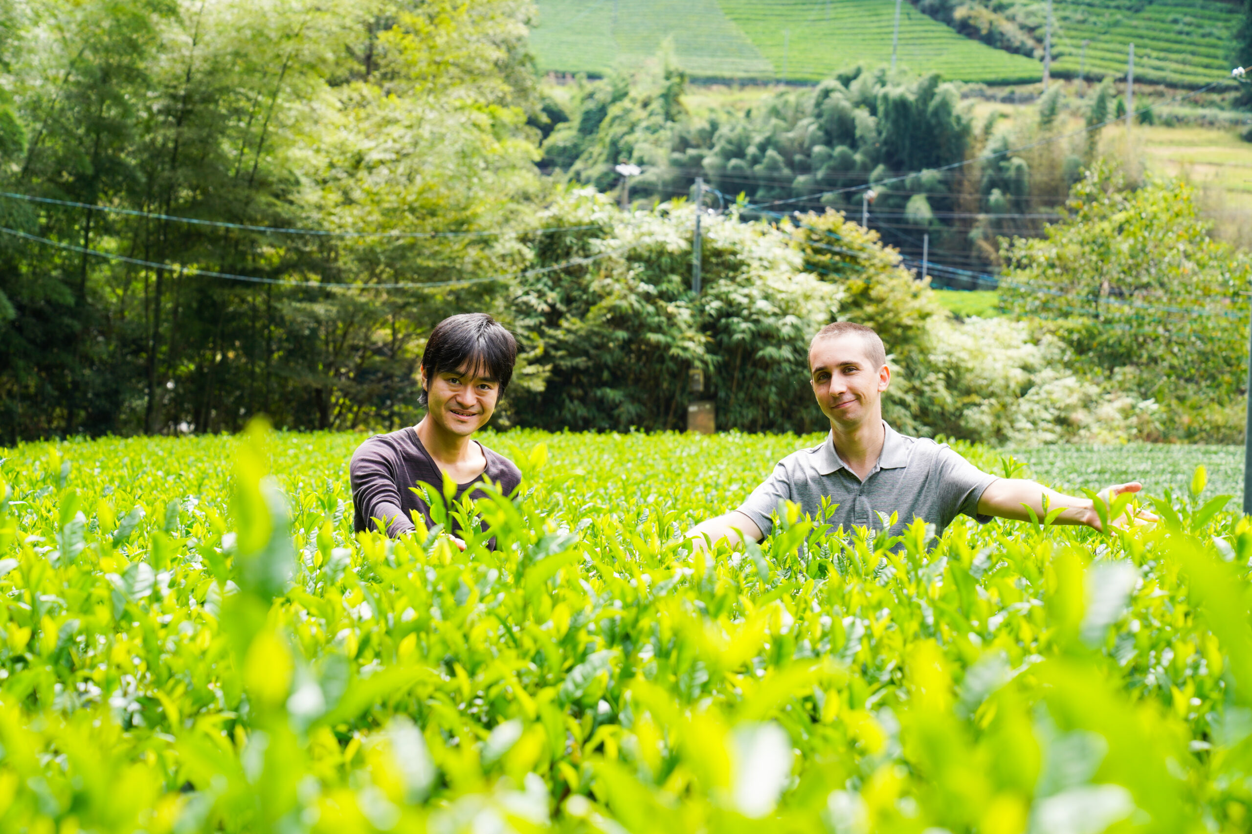 People standing in a tea field