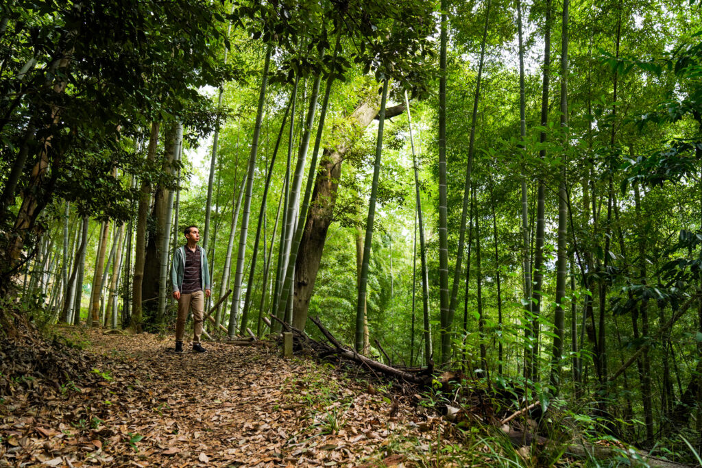 Mt. Tennozan: A Historic Hike on the Edge of Kyoto