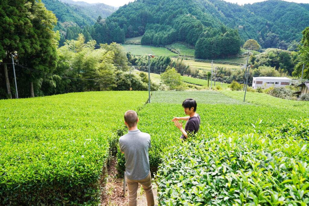 tea farm tour uji