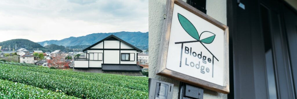 A tea field next to a sign reading, "Blodge Lodge"